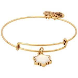 Alex & Ani Snowflake Bracelet